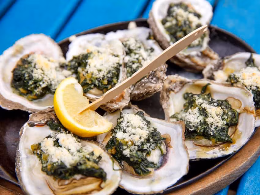 oysters on a plate