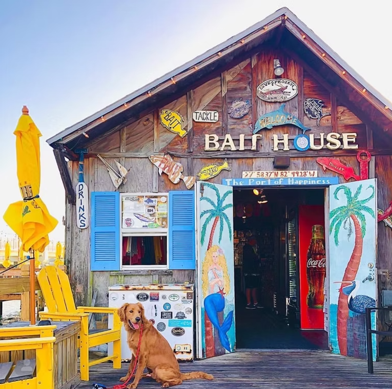 dog sitting outside Bait House