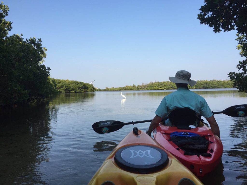 kayakers and an egret