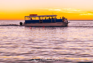 dolphin tour boat